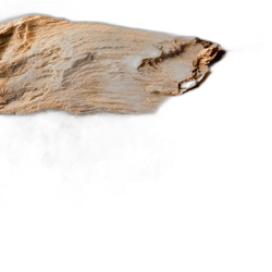 Gaiac Wood